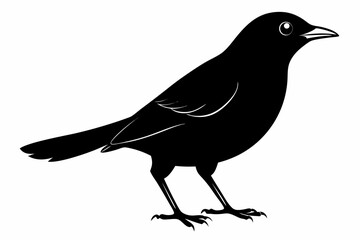 blackbird sihouette black vector