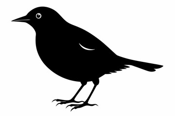 blackbird sihouette black vector