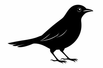 blackbird sihouette black vector