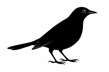 blackbird sihouette black vector