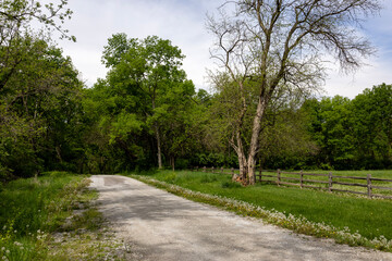 country road in the countryside