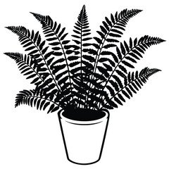 Fern plant in pot graphic illustration vector drawing silhouette for design and decoration element
