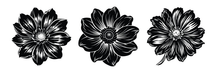 Floral vector art: black and white flower illustrations for graphic design and creative projects use 
