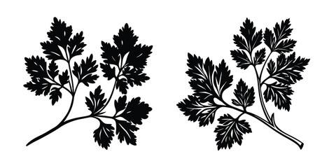Black and white parsley herb vector illustration for culinary designs and botanical art projects
