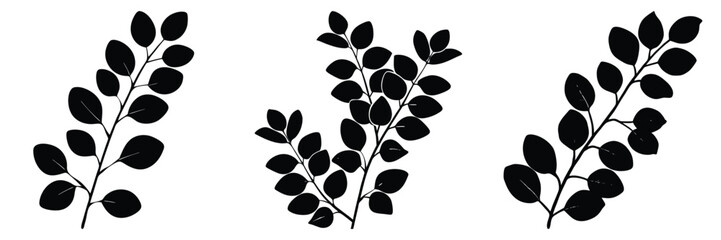 Black leaf branch vector illustration for graphic design nature botanical art foliage plant element 
