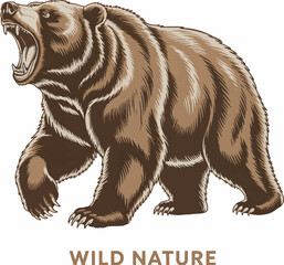 A detailed brown and white illustration of a roaring
grizzly bear in a vintage woodcut style