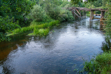 Obraz premium Picturesque river landscape with green vegetation and an old wooden bridge. Peaceful summer forest scene with flowing water, overgrown plants and weathered wooden structure.