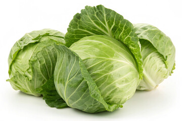Obraz premium A single, unblemished green cabbage, highlighting its leafy structure and freshness.