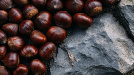 Obraz premium Chestnuts on rough gray stone, Natural nuts with rugged texture, Concept for raw forest food or autumn harvest scenes