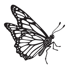 Butterfly silhouette. Butterfly logo vector design isolated on white background