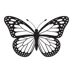 Butterfly silhouette. Butterfly logo vector design isolated on white background