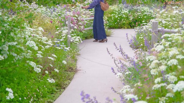様々な草や花が咲き乱れる庭園の遊歩道で写真を撮る女性（神奈川県綾瀬市 光綾公園「あやせローズガーデン」）　
A woman takes a picture on the promenade of the garden, where various grasses and flowers are in bloom.