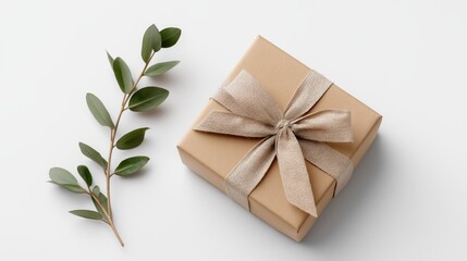 Gift wrapped in brown paper with green leaves on a light background