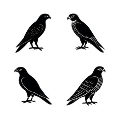 set of birds isolated