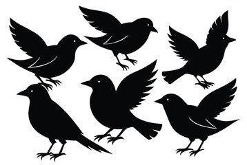 Fototapeta premium Black Bird Silhouette Set Featuring Various Poses Perfect for Nature Themed Vector Art and Wildlife Design Projects