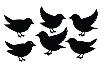 Fototapeta premium Black Bird Silhouette Set Featuring Various Poses Perfect for Nature Themed Vector Art and Wildlife Design Projects