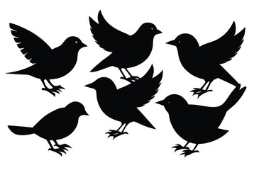 Obraz premium Black Bird Silhouette Set Featuring Various Poses Perfect for Nature Themed Vector Art and Wildlife Design Projects