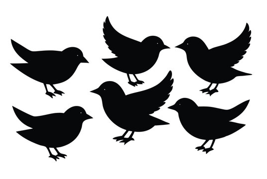 Black Bird Silhouette Set Featuring Various Poses Perfect for Nature Themed Vector Art and Wildlife Design Projects