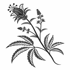 Elegant black and white floral botanical illustration