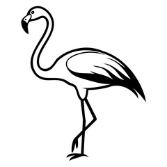 Illustration of a flamingo standing on one leg with a curved neck and long beak on transparent background