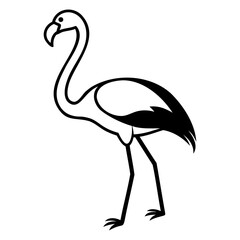Illustration of a flamingo standing with its long neck and legs in black outline on transparent background