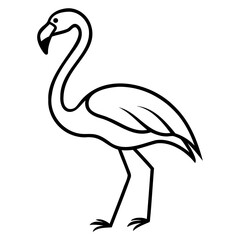 Illustration of a flamingo standing with its head curved and long legs in black outline on transparent background