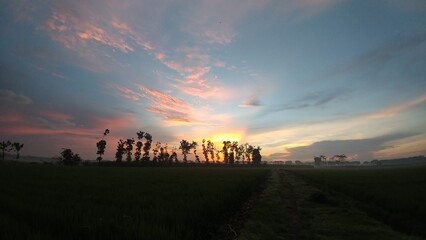 Wide-angle sunrise over rural fields with vibrant skies, tree silhouettes, and a path leading into greenery evoking peace, natural beauty, and a fresh start to the day