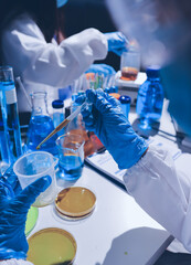 Fototapeta premium Scientist pipetting medical samples into microplate in laboratory