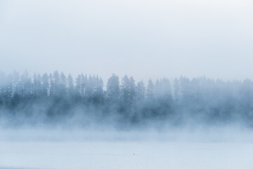 Mist envelops a serene lake surrounded by dense forest in Sweden during early morning hours