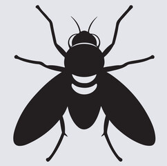 fly silhouette vector art illustration, vector illustration of a black beetle