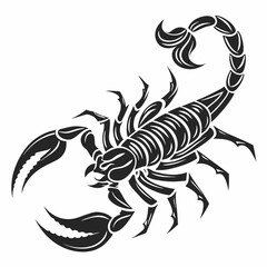 Professional stylized scorpion design element transparent background