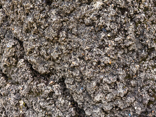 Rough Textured Concrete Surface Close-Up