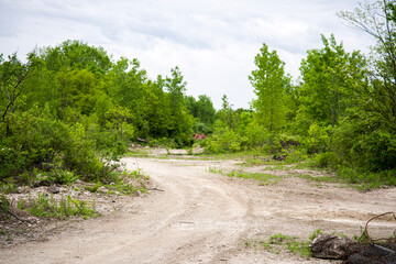 Dirt Road Through Green Forest on Cloudy Day