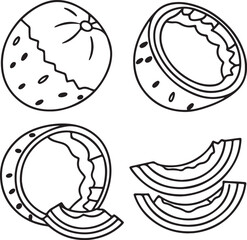 Coconut Vector with White Flesh and Brown Shell for Tropical Fruit and Island Vacation Design