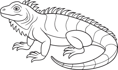 Adorable Common Iguana Coloring Page Line Art Drawing For Kids Vector Illustration