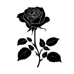 black silhouette of a branch with leaves on a transparent background black, branch, rose, silhouette , Generative art.