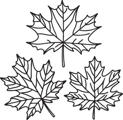 Maple Leaf Vector with Smooth Edges in Flat Autumn Style for Seasonal Nature and Fall Themes