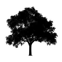 Fototapeta premium black silhouette of a tree on a transparent background black, silhouette, tree , Generative art.