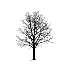a black silhouette of a bare tree without leaves bare, black, silhouette, tree, winter , Generative art.