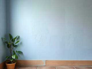 A light blue wall in an interior space with a small potted plant on the floor. The wall is smooth and unadorned, creating a minimalist atmosphere.
