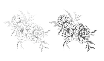 Peony Line Drawing. Trendy floral peony bouquets sketch. Botanical Line Art Peony Collection. Hand drawn line art peony flowers.  Black and white peony