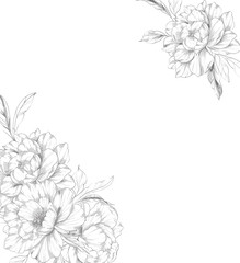 Peony Line Drawing. Trendy floral peony bouquets sketch. Botanical Line Art Peony Collection. Hand drawn line art peony flowers.  Black and white peony