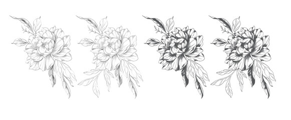 Peony Line Drawing. Trendy floral peony bouquets sketch. Botanical Line Art Peony Collection. Hand drawn line art peony flowers.  Black and white peony