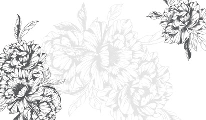 Peony Line Drawing. Trendy floral peony bouquets sketch. Botanical Line Art Peony Collection. Hand drawn line art peony flowers.  Black and white peony © Xenia