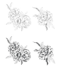 Peony Line Drawing. Trendy floral peony bouquets sketch. Botanical Line Art Peony Collection. Hand drawn line art peony flowers.  Black and white peony