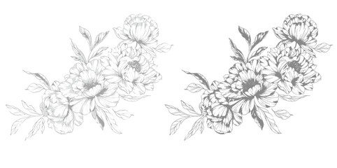 Peony Line Drawing. Trendy floral peony bouquets sketch. Botanical Line Art Peony Collection. Hand drawn line art peony flowers.  Black and white peony © Xenia