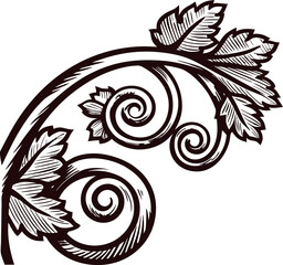 Ornate hand drawn corner floral swirl with leaves vintage engraved botanical illustration design