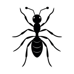 Ant vector silhouette