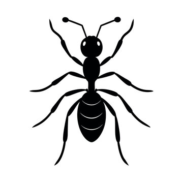 Ant vector silhouette