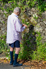 Elderly Man Picking Flowers Near Stone Wall on Sunny Day..